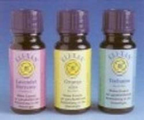 ELIXAN FRISCH UND FIT ÄTH/ÖL 10 ML