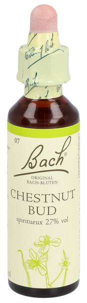 BACH-BLÜTEN ORIGINAL CHESTNUT BUD NO07 20 ML
