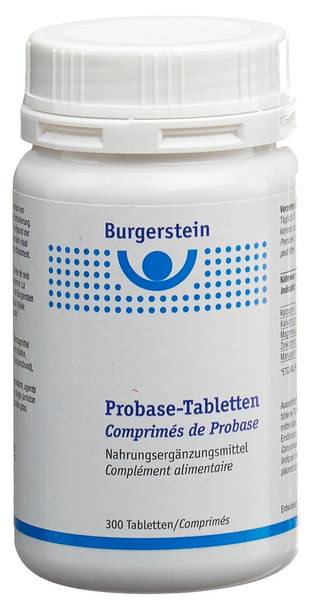 BURGERSTEIN PROBASE TABL 300 STK