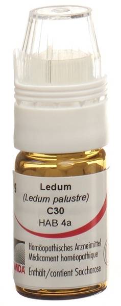 OMIDA LEDUM GLOB C 30 M DOSIERHILFE 4 G
