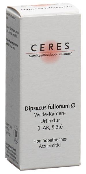 CERES DIPSACUS FULLONUM URTINKT FL 20 ML
