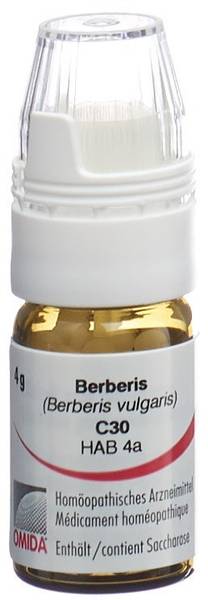 OMIDA BERBERIS GLOB C 30 MIT DOSIERHILFE 4 G